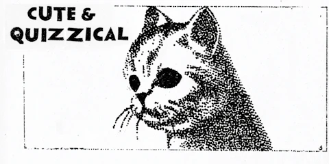 Techie, Cutesie, & Quizzical playlist artwork